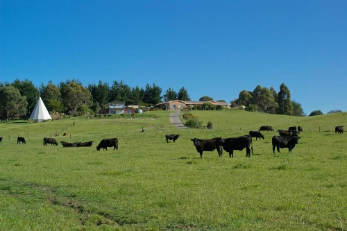 Sherwood View Accommodation image 12