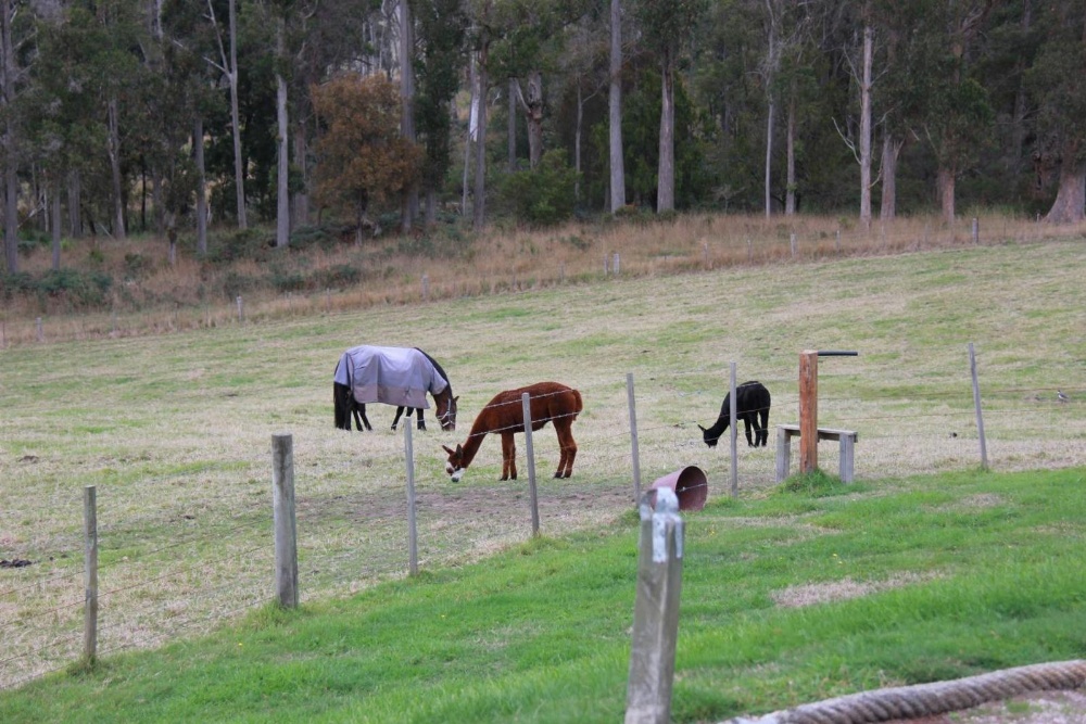 Sherwood View Accommodation Main image